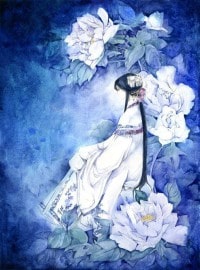 數值系統之江湖